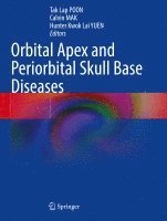 bokomslag Orbital Apex and Periorbital Skull Base Diseases