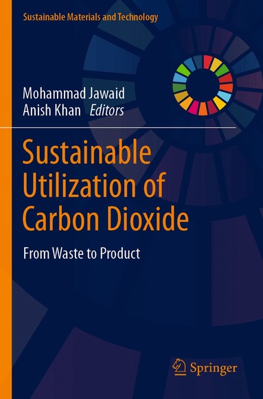Mohammad Jawaid, Anish Khan - Sustainable Utilization of Carbon Dioxide, Häftad