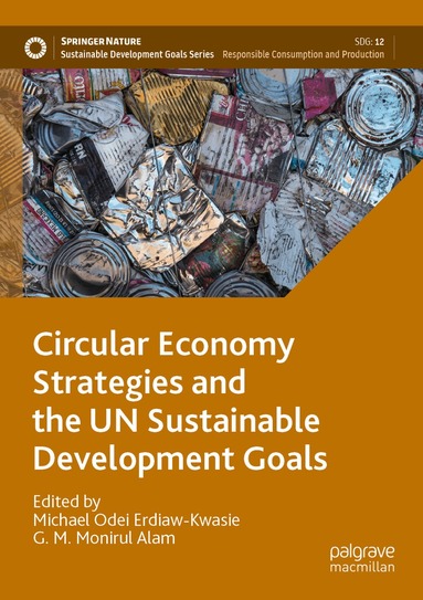 Michael Odei Erdiaw-Kwasie, G. M.  Monirul Alam - Circular Economy Strategies and the UN Sustainable Development Goals, Häftad
