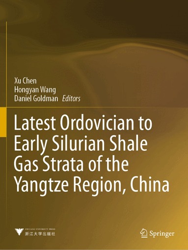 Xu Chen, Hongyan Wang, Daniel Goldman - Latest Ordovician to Early Silurian Shale Gas Strata of the Yangtze Region, China, Häftad