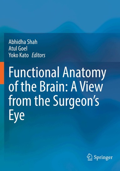 Abhidha Shah, Atul Goel, Yoko Kato - Functional Anatomy of the Brain: A View from the Surgeon’s Eye, Häftad