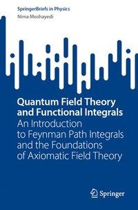 bokomslag Quantum Field Theory and Functional Integrals