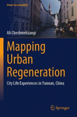 bokomslag Mapping Urban Regeneration