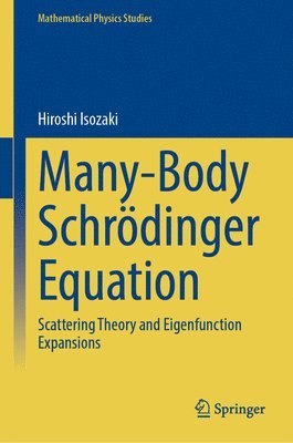 bokomslag Many-Body Schrödinger Equation