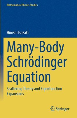 bokomslag Many-Body Schrdinger Equation