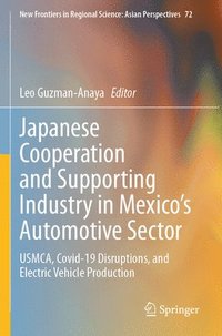 bokomslag Japanese Cooperation and Supporting Industry in Mexicos Automotive Sector