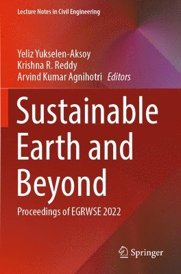 bokomslag Sustainable Earth and Beyond