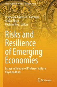 bokomslag Risks and Resilience of Emerging Economies