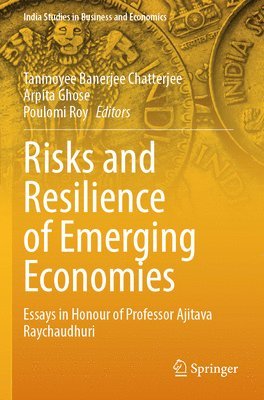 bokomslag Risks and Resilience of Emerging Economies