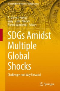 bokomslag SDGs Amidst Multiple Global Shocks