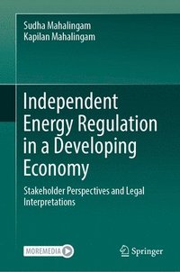 bokomslag Independent Energy Regulation in a Developing Economy