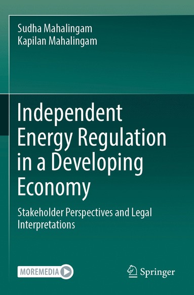 bokomslag Independent Energy Regulation in a Developing Economy