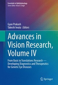 bokomslag Advances in Vision Research, Volume IV