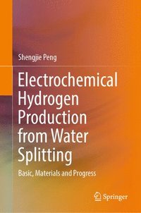 bokomslag Electrochemical Hydrogen Production from Water Splitting