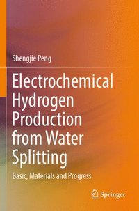 bokomslag Electrochemical Hydrogen Production from Water Splitting