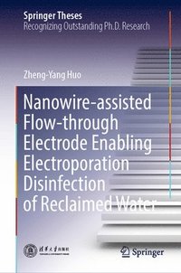 bokomslag Nanowire-assisted Flow-through Electrode Enabling Electroporation Disinfection of Reclaimed Water