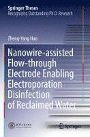 bokomslag Nanowire-assisted Flow-through Electrode Enabling Electroporation Disinfection of Reclaimed Water