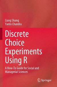 bokomslag Discrete Choice Experiments Using R