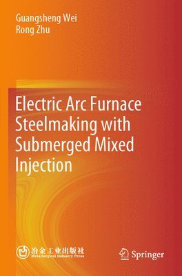 Electric Arc Furnace Steelmaking with Submerged Mixed Injection 1