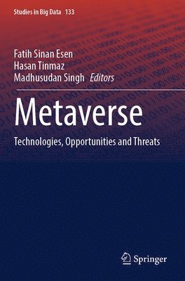 Metaverse 1