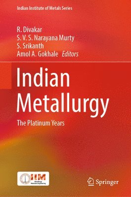 bokomslag Indian Metallurgy