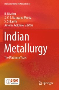 bokomslag Indian Metallurgy