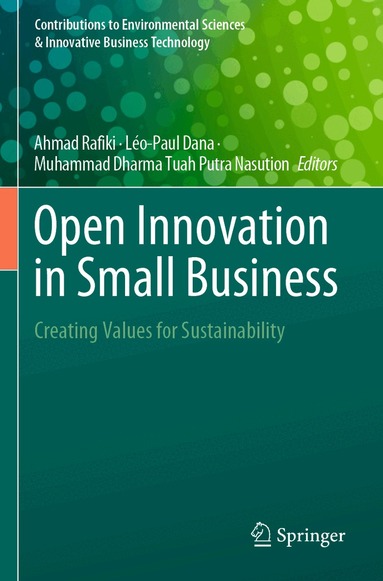Ahmad Rafiki, Léo-Paul Dana, Muhammad Dharma Tuah Putra Nasution - Open Innovation in Small Business, Häftad