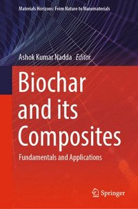 bokomslag Biochar and its Composites