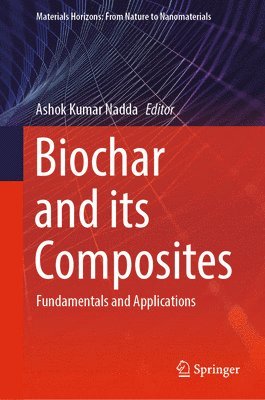 bokomslag Biochar and its Composites