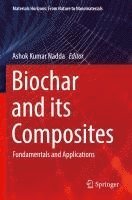 bokomslag Biochar and its Composites