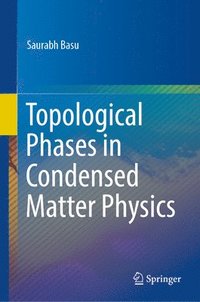 bokomslag Topological Phases in Condensed Matter Physics