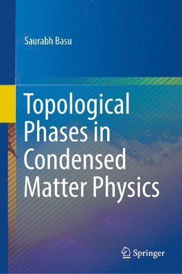 bokomslag Topological Phases in Condensed Matter Physics