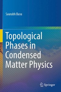 bokomslag Topological Phases in Condensed Matter Physics