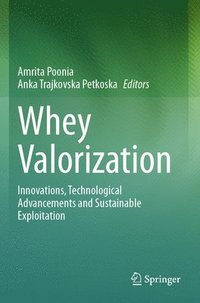 bokomslag Whey Valorization