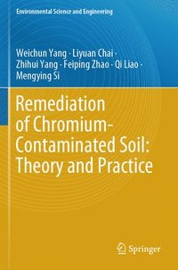 bokomslag Remediation of Chromium-Contaminated Soil: Theory and Practice