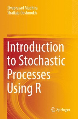 bokomslag Introduction to Stochastic Processes Using R