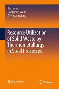 bokomslag Resource Utilization of Solid Waste by Thermometallurgy in Steel Processes