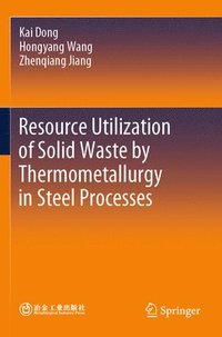 bokomslag Resource Utilization of Solid Waste by Thermometallurgy in Steel Processes