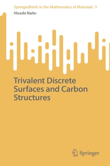 Hisashi Naito - Trivalent Discrete Surfaces and Carbon Structures, Häftad