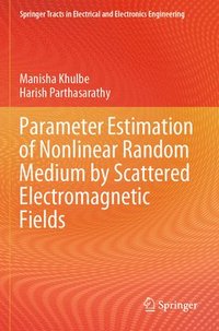 bokomslag Parameter Estimation of Nonlinear Random Medium by Scattered Electromagnetic Fields