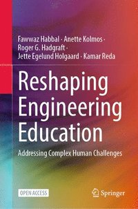 bokomslag Reshaping Engineering Education