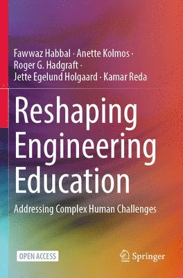 bokomslag Reshaping Engineering Education