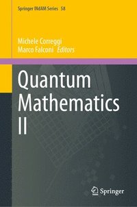 bokomslag Quantum Mathematics II