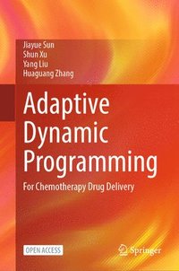 bokomslag Adaptive Dynamic Programming
