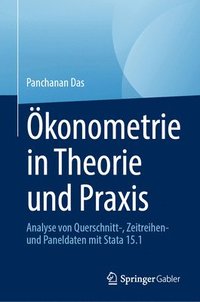 bokomslag konometrie in Theorie und Praxis