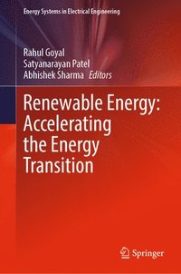 bokomslag Renewable Energy: Accelerating the Energy Transition