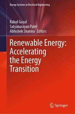 bokomslag Renewable Energy: Accelerating the Energy Transition