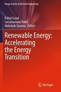 bokomslag Renewable Energy: Accelerating the Energy Transition