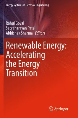 bokomslag Renewable Energy: Accelerating the Energy Transition