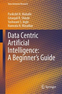 bokomslag Data Centric Artificial Intelligence: A Beginner's Guide